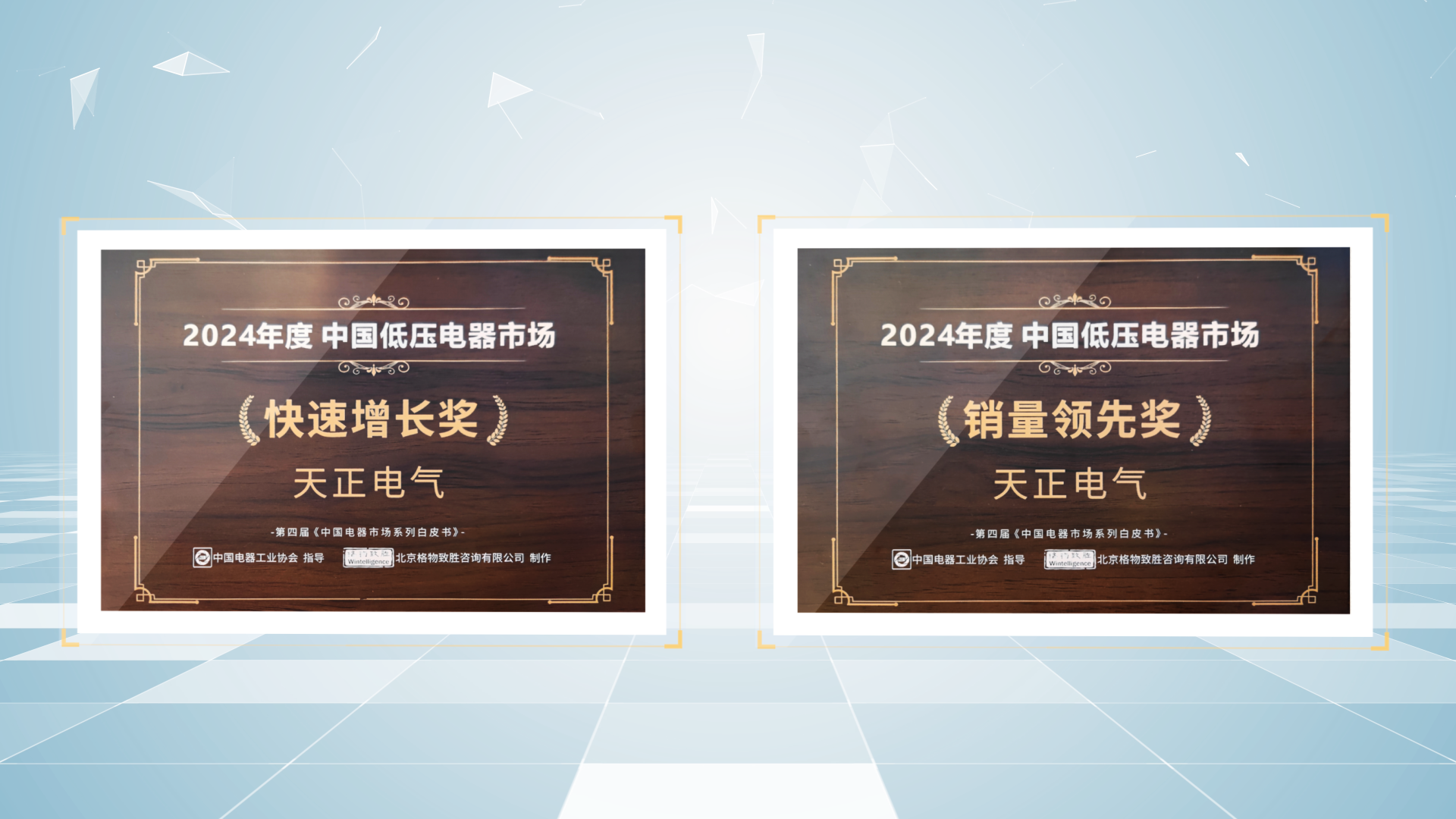 销量领先、快速增长丨ng28南宫国际荣膺2项行业年度大奖